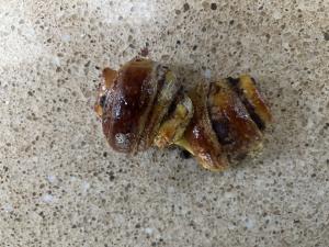 Mini Chocolate Crumb Danish